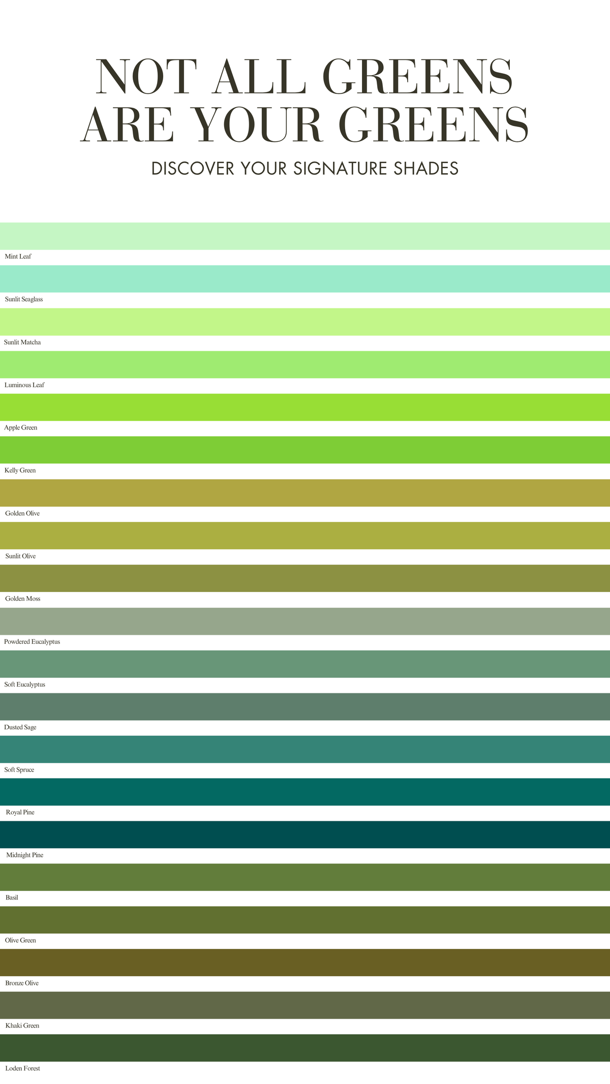 true Summer Color Guide