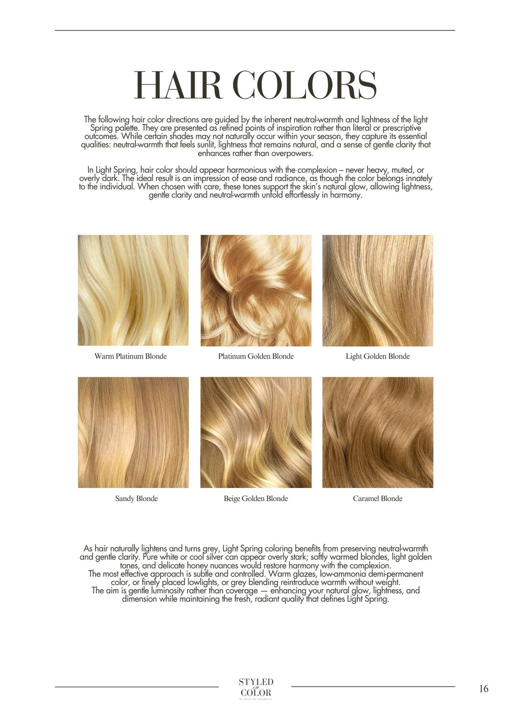 Online Premium Color & Style Identity