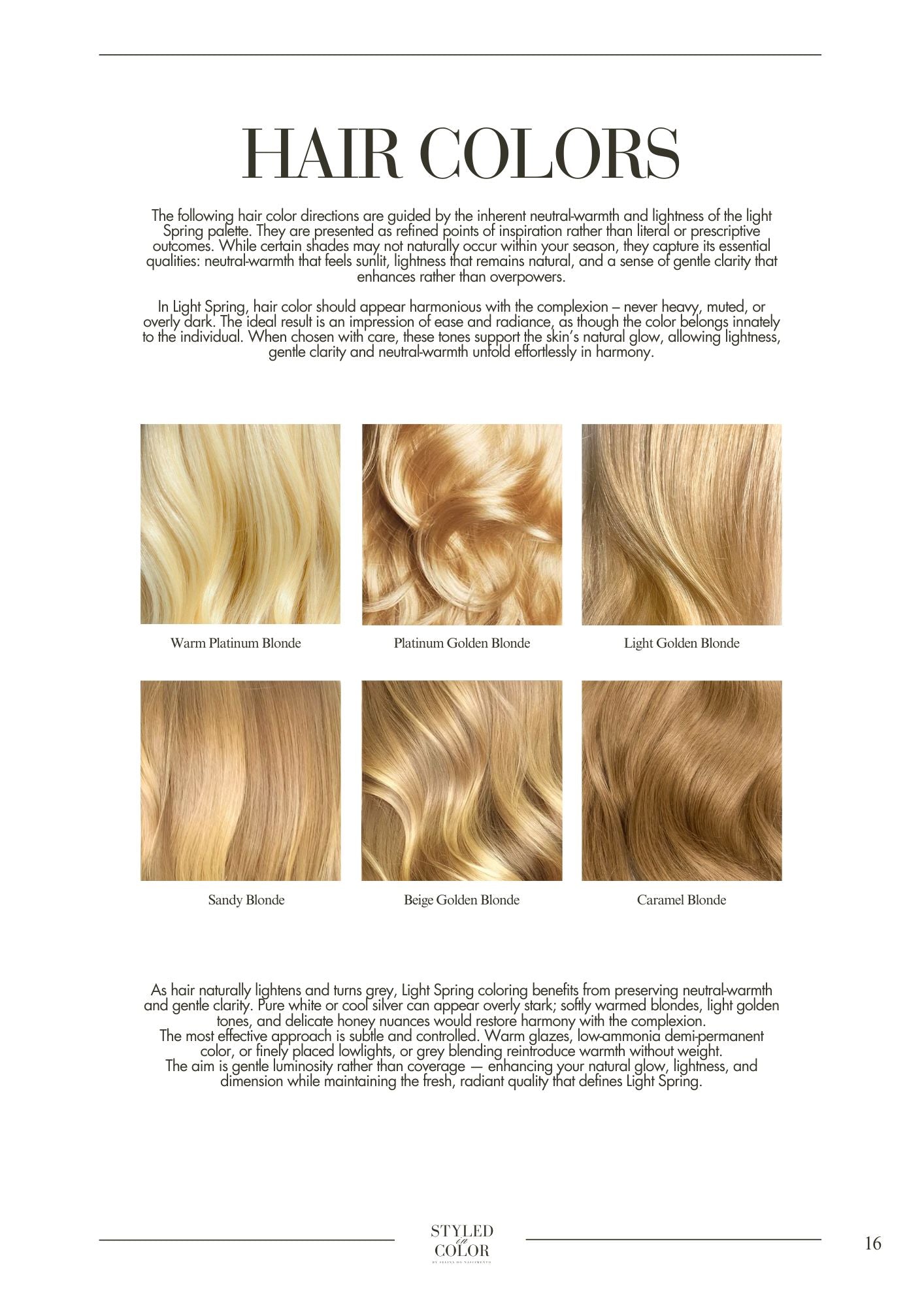 Online Premium Color & Style Identity